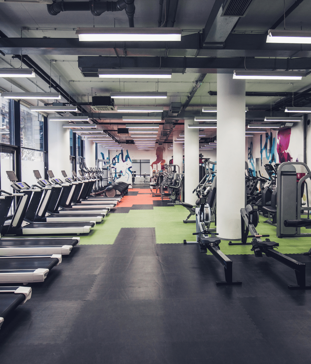 Full Commercial Gym Setup