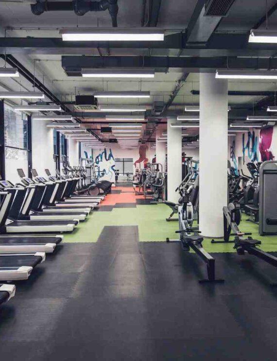 Full Commercial Gym Setup
