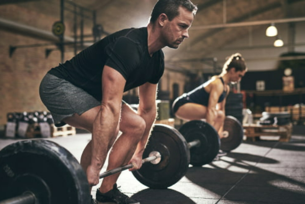 Full Body Workouts vs Split Training